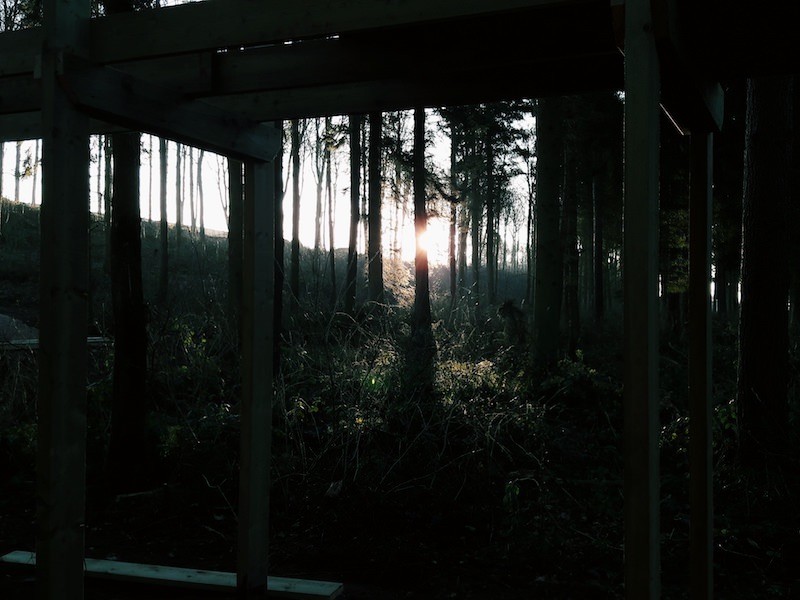 We work until sunset at Lowther and they are beautiful shining through the trees