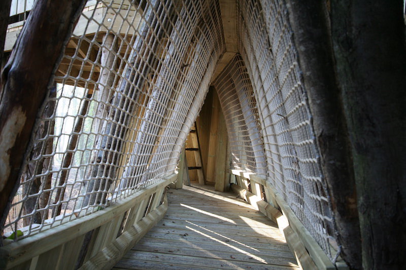 Crawl spaces abound throughout the Wild Woodland