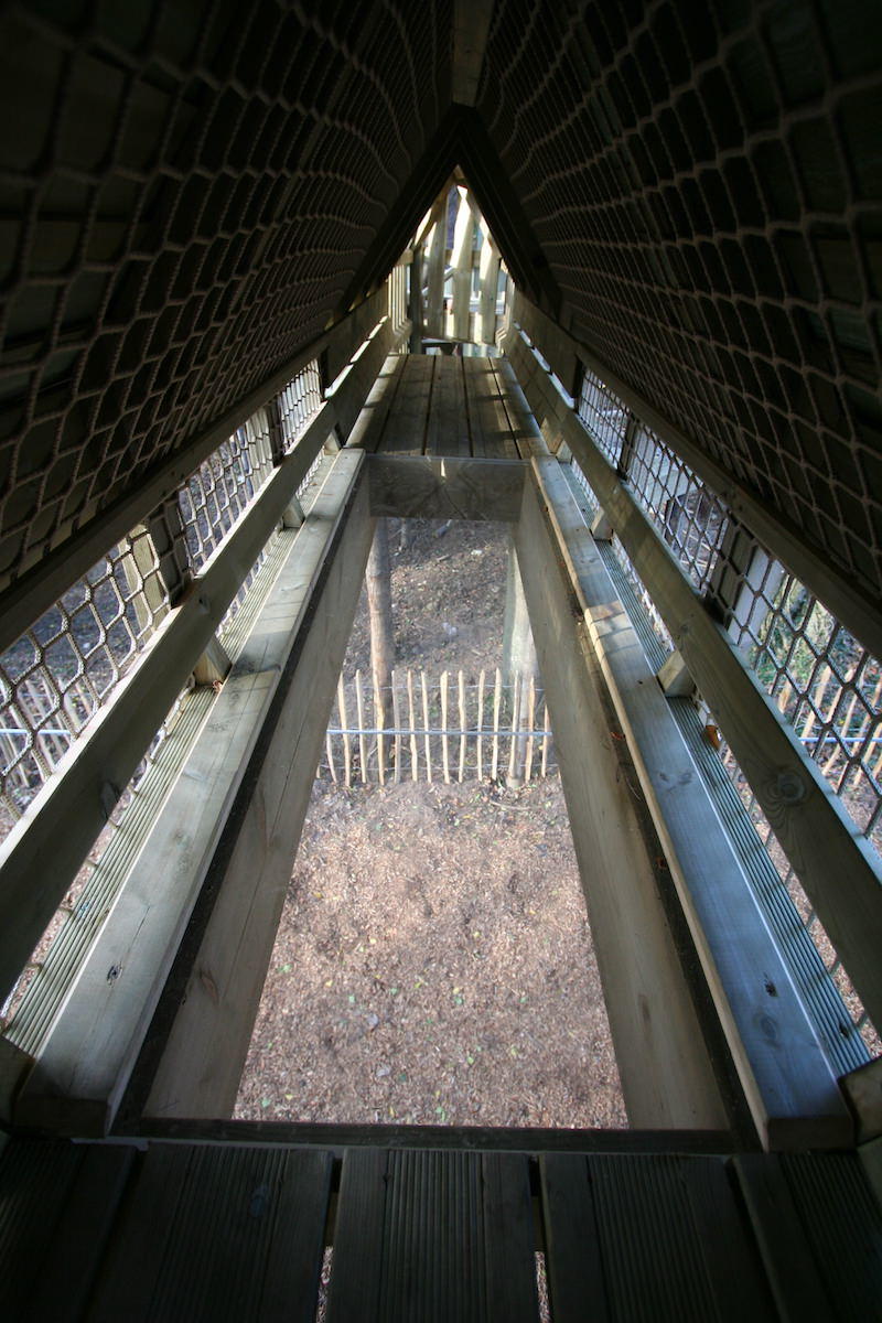 Do you dare walk over the bridge with no floor?