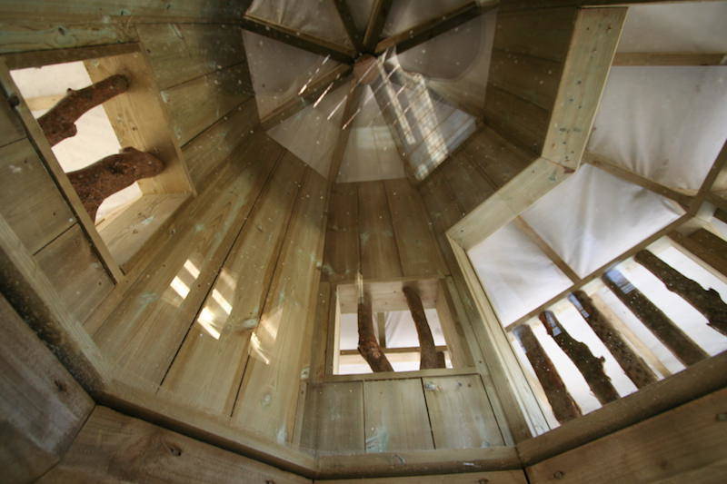 Looking up into the Wild Woodland Tower