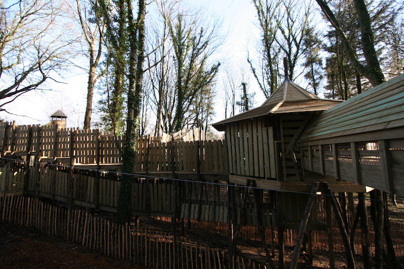 More and more walkways will keep you moving above and amongst the trees