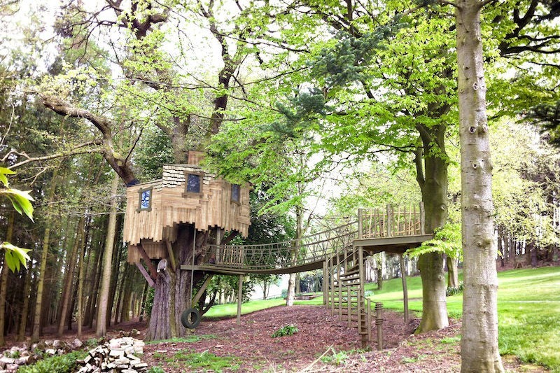 Mount St John residential treehouse design and build 800x533