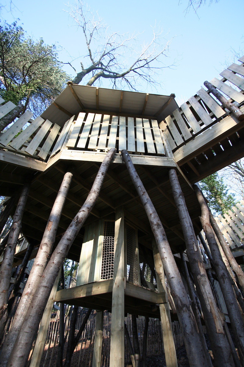 The soaring towers of the Wild Woodland Adventure