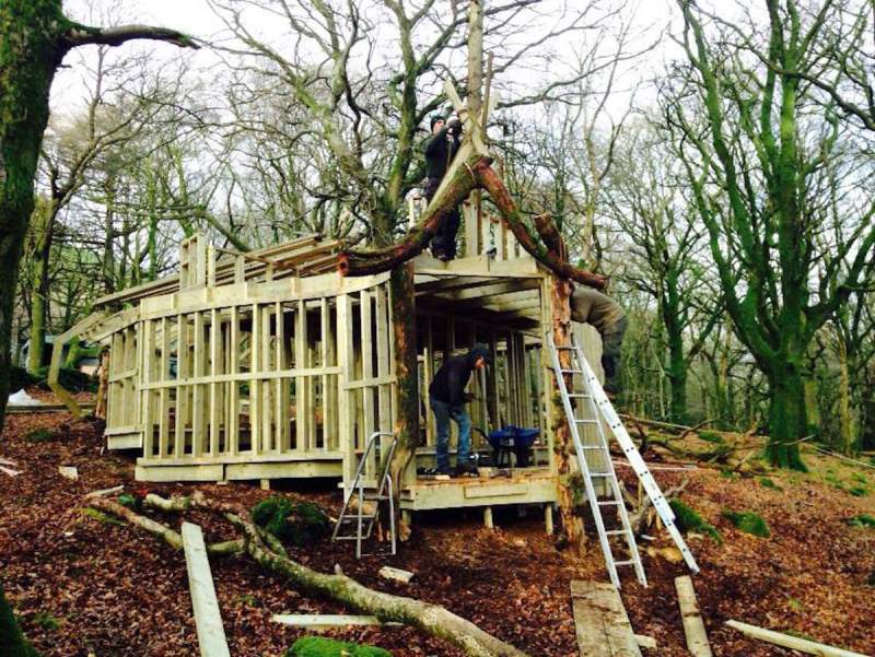 The first treehouse begins to take shape at Slieve Gullion