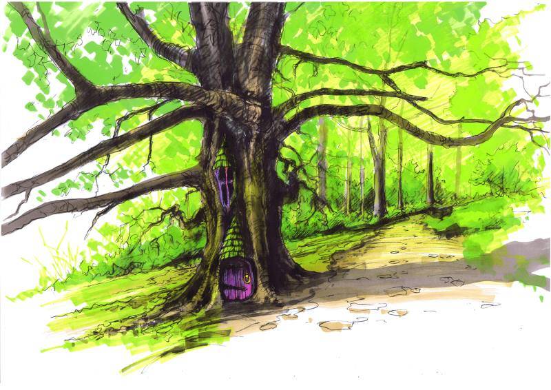 The giant oak that became a fairy home at Slieve Gullion