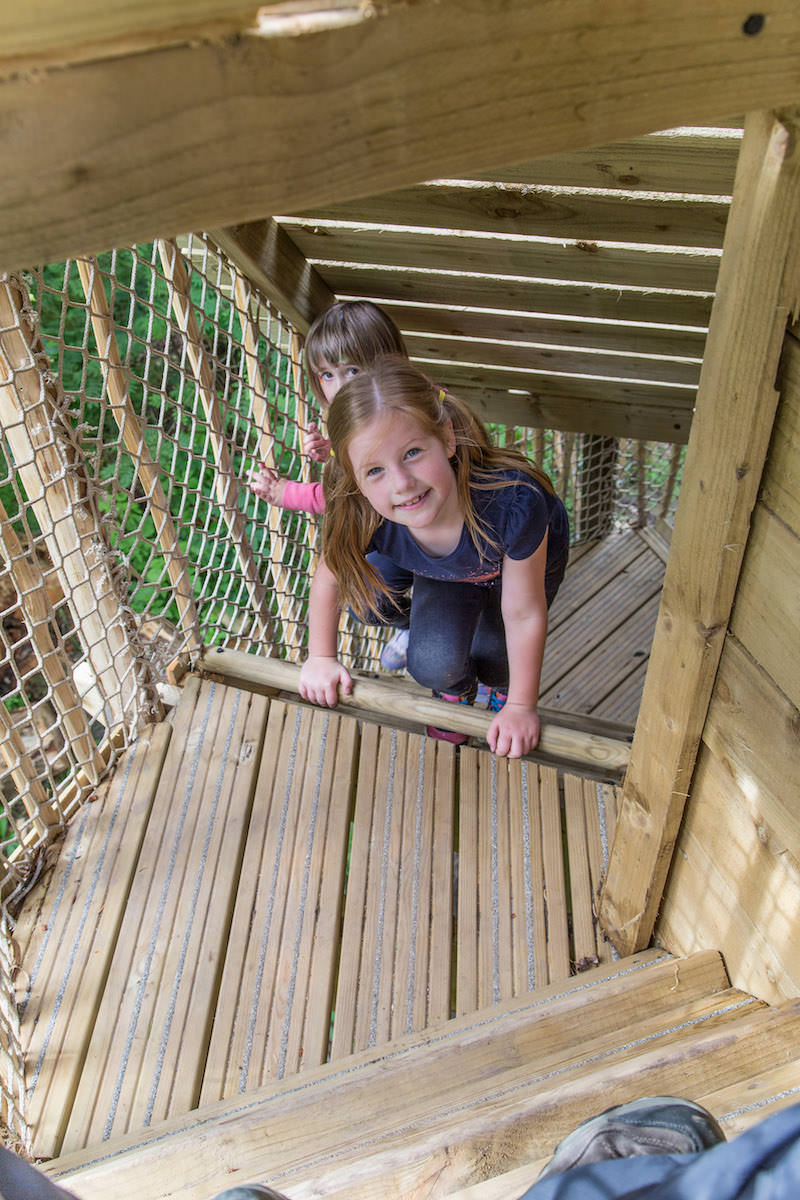 And the climb up into the tower at Brodick Castle Isle Be Wild Adventure Play Arran