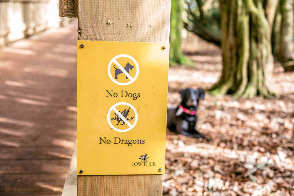 Signage for the Lost Castle - Bad news for Dogs and Dragons
