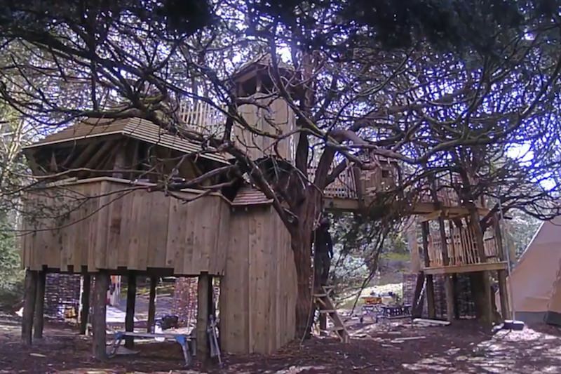 Video still for secret treehouse build