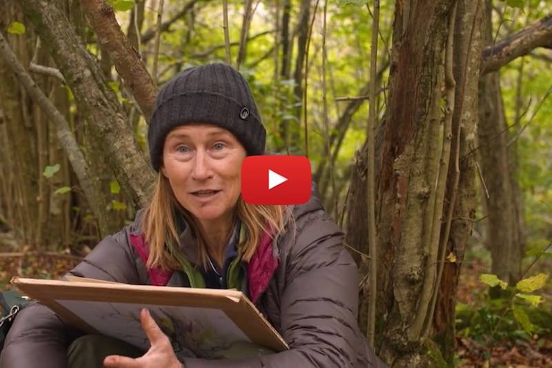 The Arborealists in Lady Park Wood