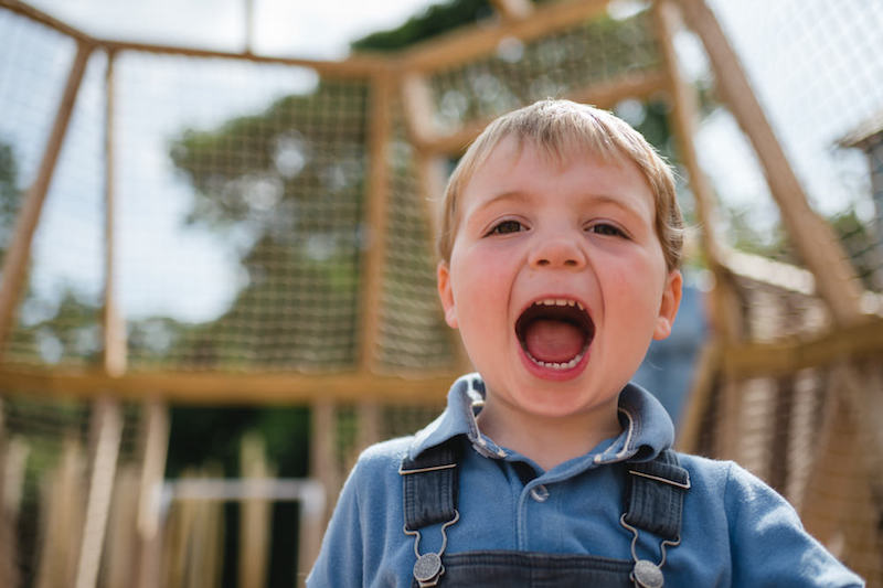 This is the reaction we want at our adventure play at Weehailes by CAP.Co at Newhailes lead image